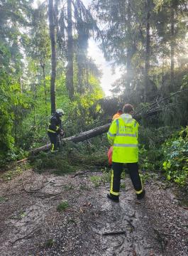 Odstranjevanje posledic nočnega neurja.